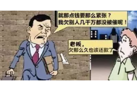 定安讨债公司